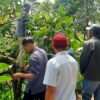 Tingkatkan Kualitas Kopi Ngawi, DKPP Gelar Pelatihan Pasca Panen di Girikerto Sine