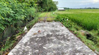 Dongkrak Produktivitas Pertanian, Pemdes Dawu Ngawi Bangun Jalan Usaha Tani di Dusun Wates
