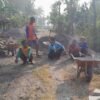 Geliatkan Perekonomian Pertanian, Pemdes Kedungputri Bangun Paving Jalan Usaha Tani di Dusun Ngisor